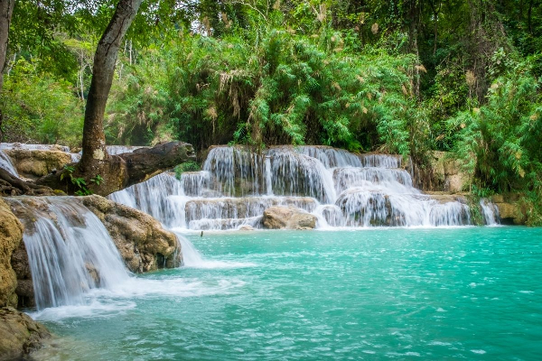 Luang Prabang 5 Days ( Buffalo Farm ) - photo 16